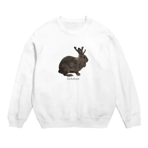 未確認動物 Crew Neck Sweatshirt