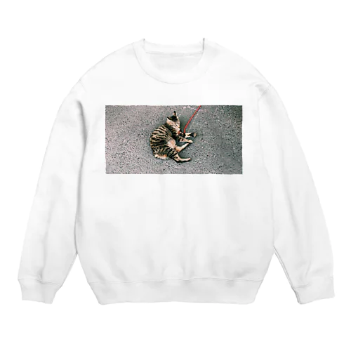 猫　ねこ　ネコ　 Crew Neck Sweatshirt