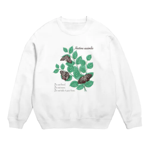 アカボシゴマダラとエノキ Crew Neck Sweatshirt