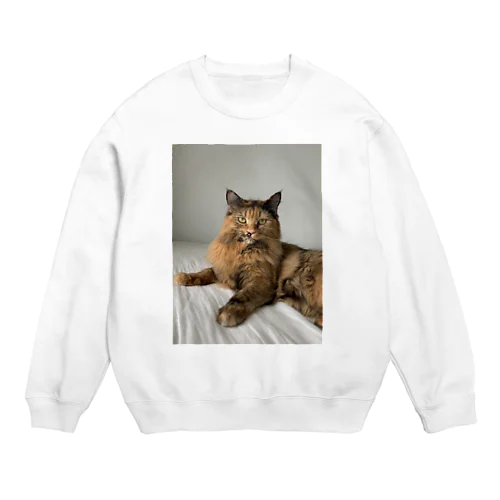 保護猫AKIMI Crew Neck Sweatshirt