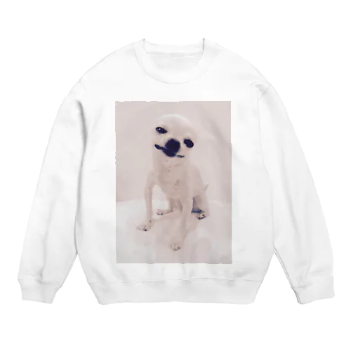 a--pu Crew Neck Sweatshirt