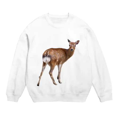 Shika! Crew Neck Sweatshirt