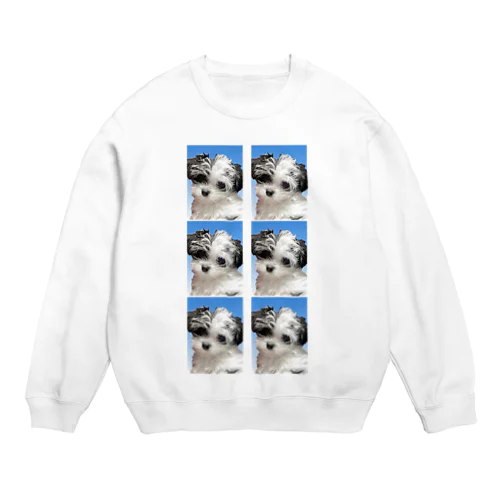 ごまちゃんの証明写真 Crew Neck Sweatshirt