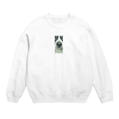 リトルバーニー Crew Neck Sweatshirt