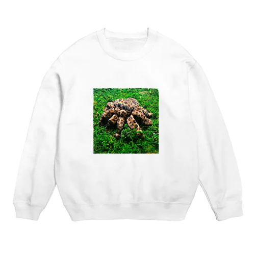 豹柄のハエトリグモぬいぐるみ  Crew Neck Sweatshirt