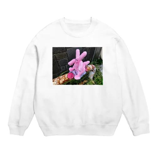 うさちゃん恐竜の赤ちゃん ぬいぐるみ  Crew Neck Sweatshirt