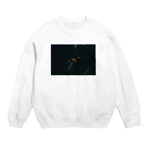 金木犀 Crew Neck Sweatshirt