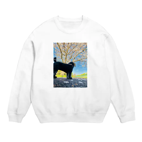 犬　トイプードル Crew Neck Sweatshirt