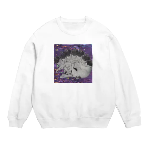 残像アッシュ Crew Neck Sweatshirt