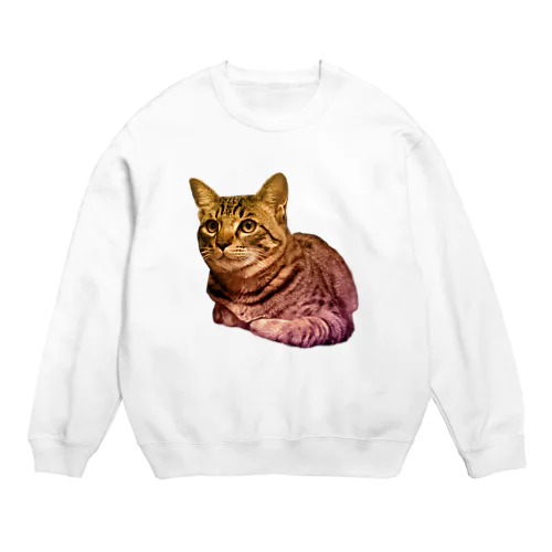 くつろぐキジトラ猫 Crew Neck Sweatshirt