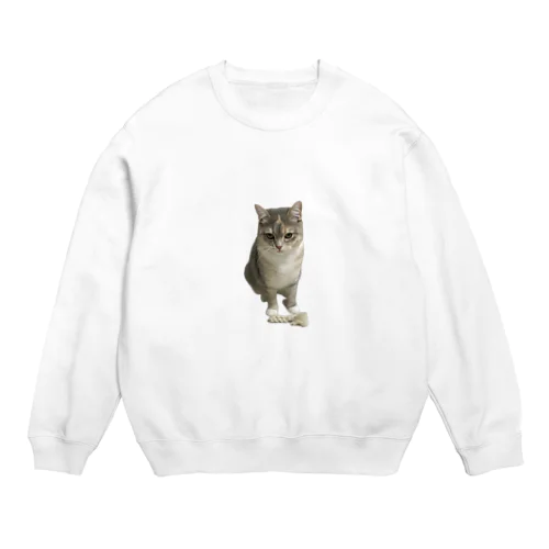 パピコ（おねだりのすがた） Crew Neck Sweatshirt