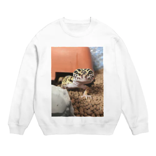 ここちゃん Crew Neck Sweatshirt