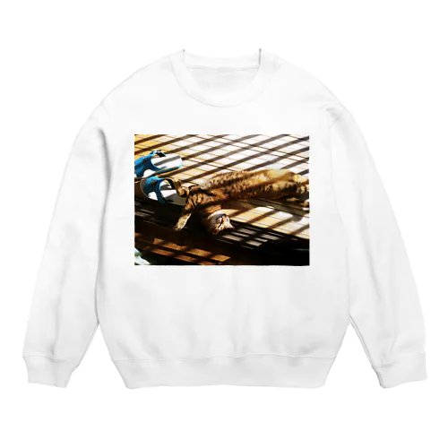 縞々プリピ Crew Neck Sweatshirt