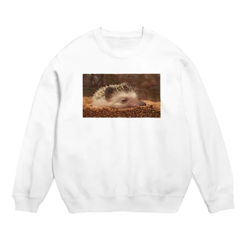 Sleepy Hedgehog Crew Neck Sweatshirt