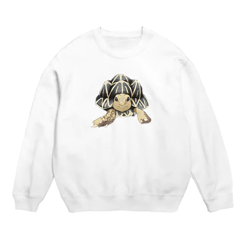 インドホシガメ〜カメコくん〜 Crew Neck Sweatshirt