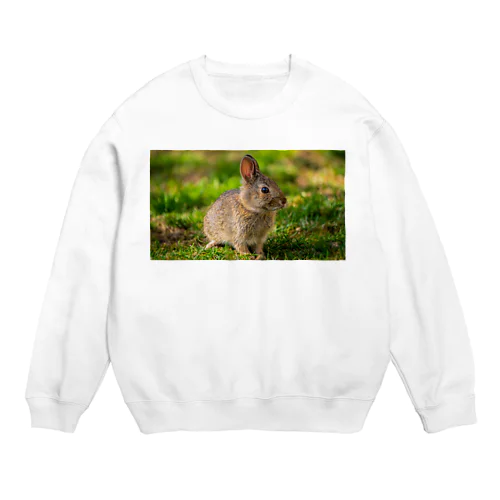 うさぎさん Crew Neck Sweatshirt