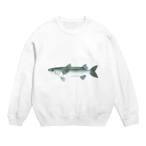 ボラ Crew Neck Sweatshirt