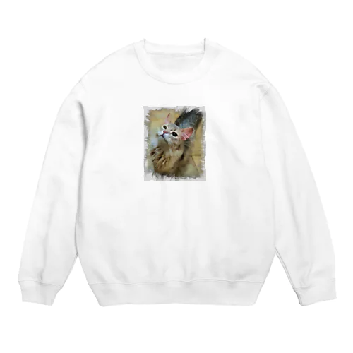 ソマリブルー Crew Neck Sweatshirt