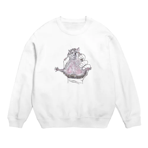 ぱっかーんとヒメハリテンレック Crew Neck Sweatshirt