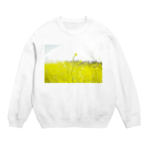 yellow Crew Neck Sweatshirt