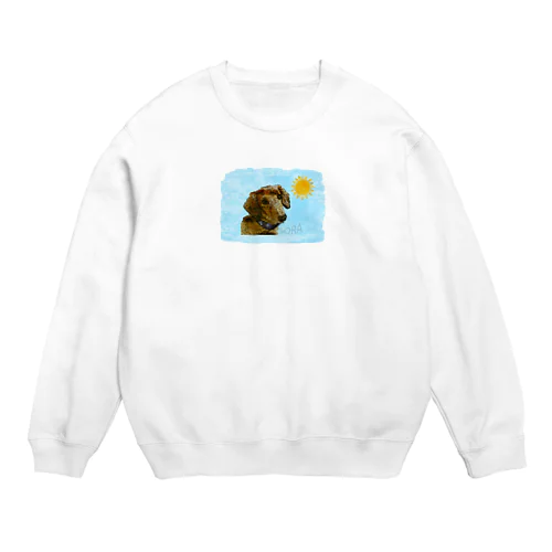 ミニチュアダックスのそら君 Crew Neck Sweatshirt