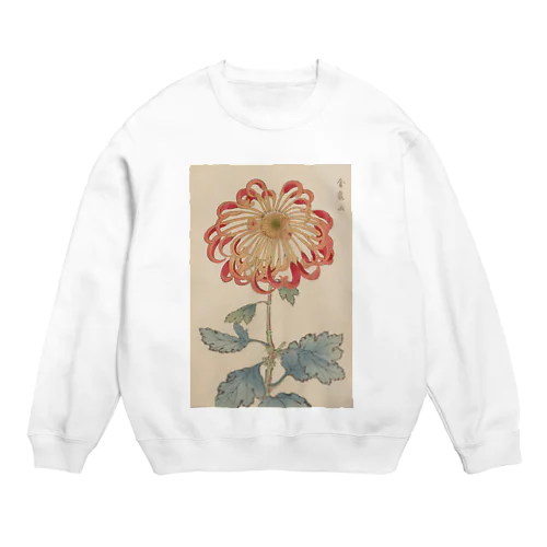 長谷川契華「金龍山」 Crew Neck Sweatshirt