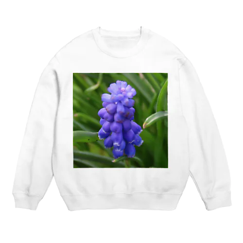 Muscari botryoides(1:1) Crew Neck Sweatshirt