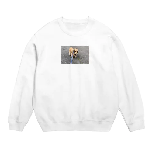 歩きたくない犬 Crew Neck Sweatshirt