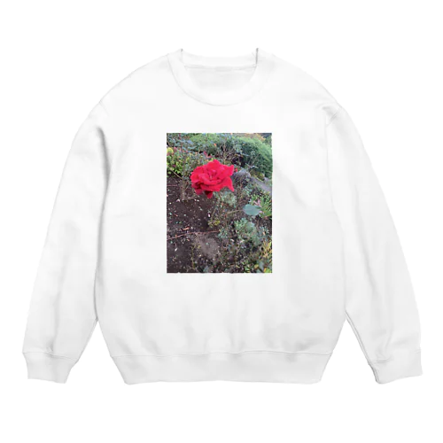 や Crew Neck Sweatshirt