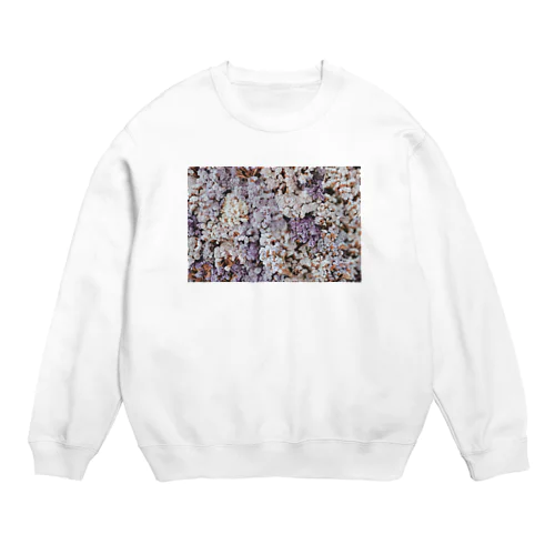 statice_ Crew Neck Sweatshirt