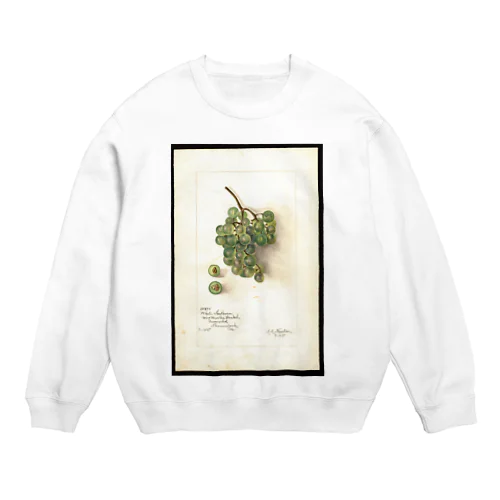 White Southern  Crew Neck Sweatshirt