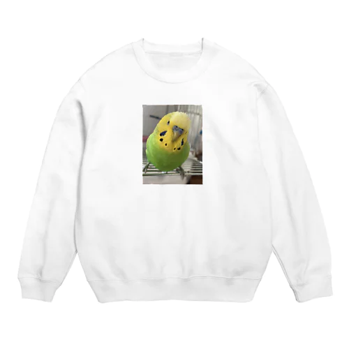 セキセイインコ1 Crew Neck Sweatshirt