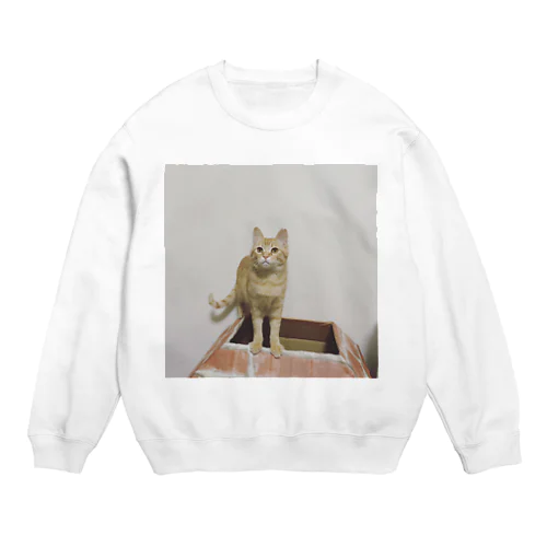 umechiyo Crew Neck Sweatshirt