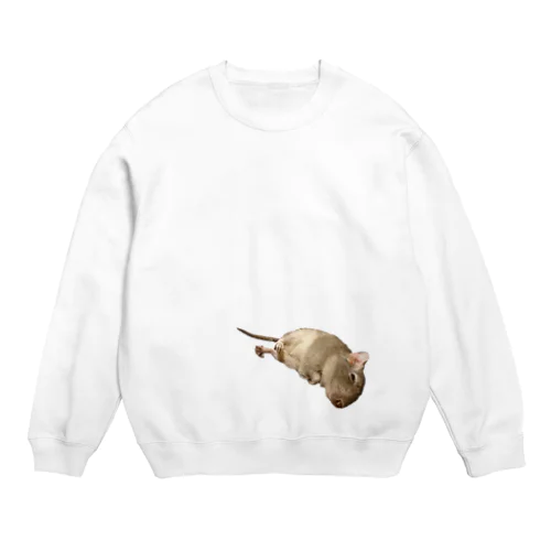 テグタン事件簿 Crew Neck Sweatshirt