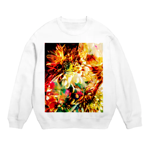 signal.8 Crew Neck Sweatshirt