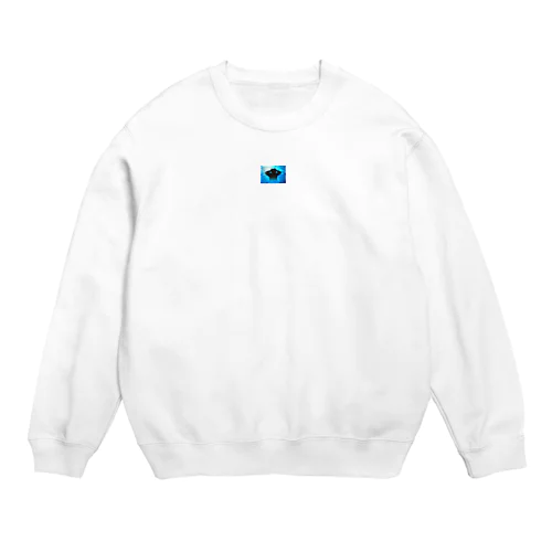 薬は､勃起不全治療の期待のﾎｰﾌﾟ Crew Neck Sweatshirt