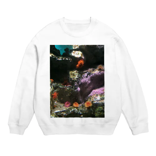 臨海 Crew Neck Sweatshirt