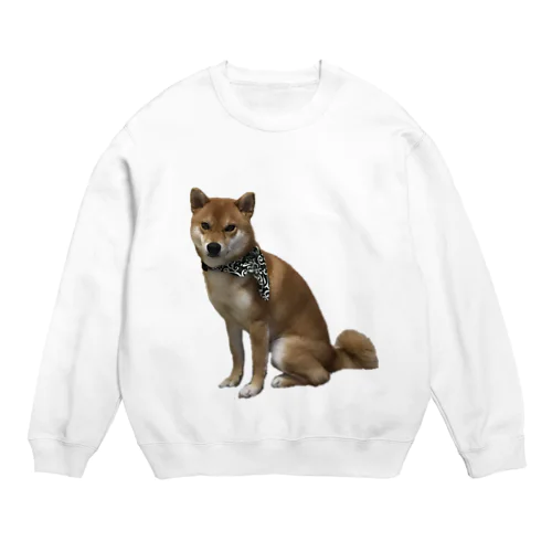 柴犬のリクさん Crew Neck Sweatshirt