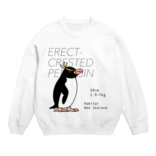 マユダチペンギン Crew Neck Sweatshirt