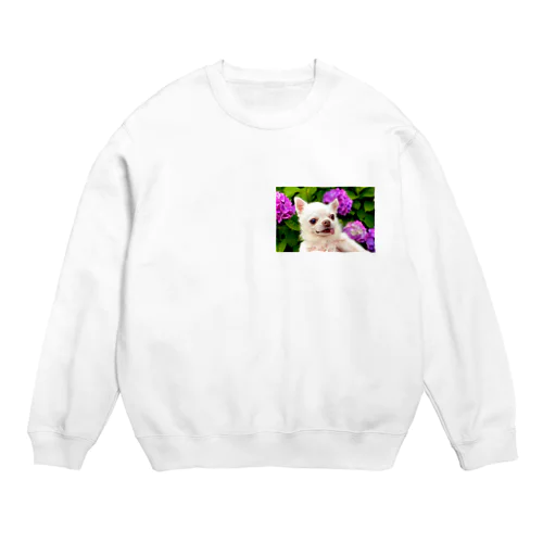 六月のいぬちゃん（いっぴき） Crew Neck Sweatshirt