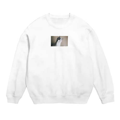 シャウエンは怒っている Crew Neck Sweatshirt