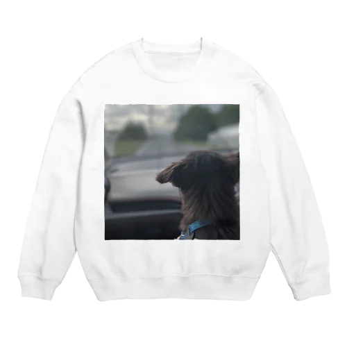 My Pets Crew Neck Sweatshirt