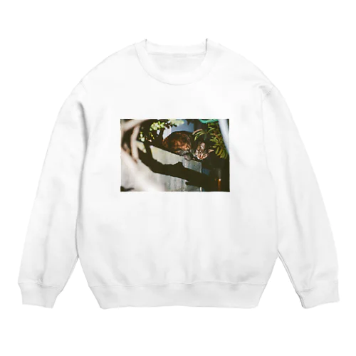 猫 Crew Neck Sweatshirt