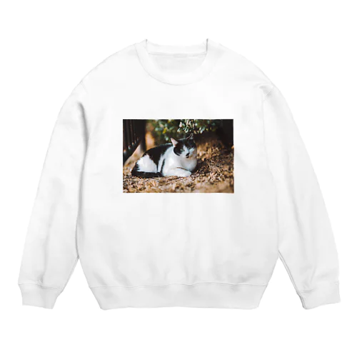 猫 Crew Neck Sweatshirt