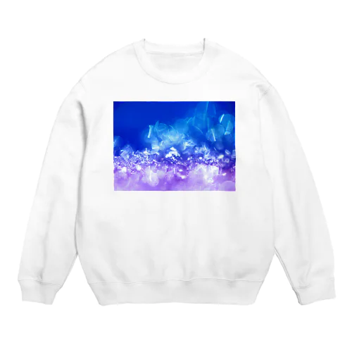 ICE Crew Neck Sweatshirt