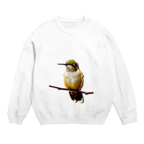 小鳥ちゃん Crew Neck Sweatshirt