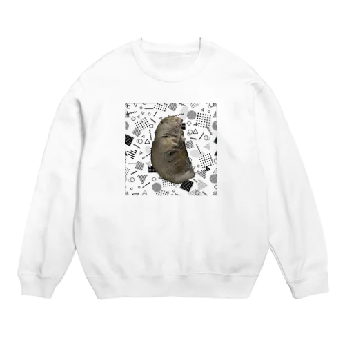 COCO Crew Neck Sweatshirt