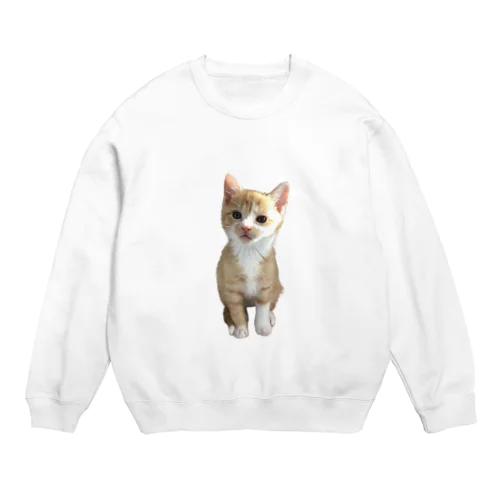 我が家のにゃんこ〜ルーンくん〜 Crew Neck Sweatshirt