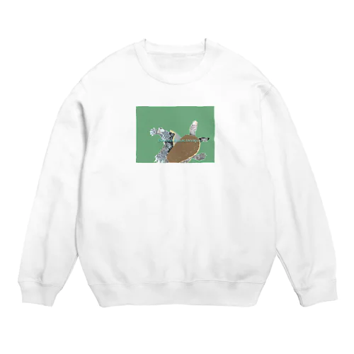 ダイヤモンドバックテラピン Crew Neck Sweatshirt