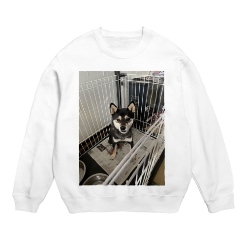 黒柴テンちゃん Crew Neck Sweatshirt